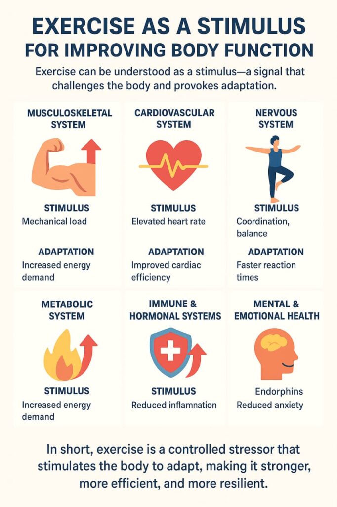 whatsapp image 2025 09 25 at 21.40.15